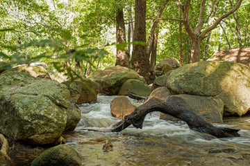 Jourama Falls