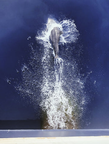 Jump
