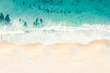 Just Keep Swimming (Horizontal)