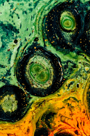 Kambaba Jasper Circles