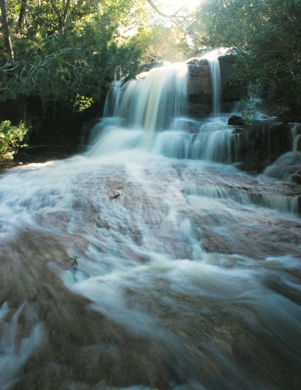 Kelly Falls - Top