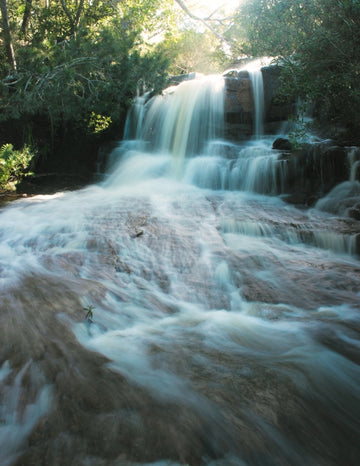 Kelly Falls - Top