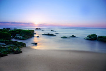 Ocean Bliss