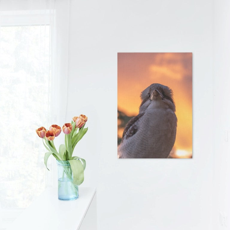 Kookaburra Sunset