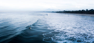 Kuta