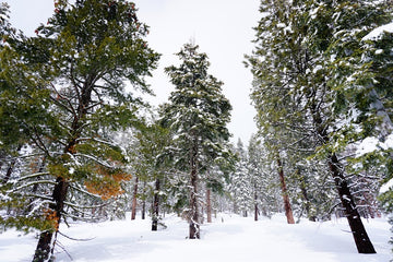 Lake Tahoe