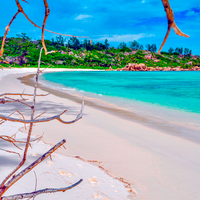 Anse Cocos