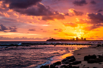 Alexandra Headland