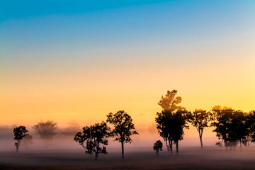 Foggy Scenic Rim