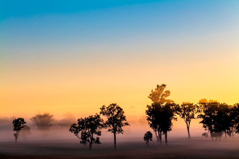 Foggy Scenic Rim