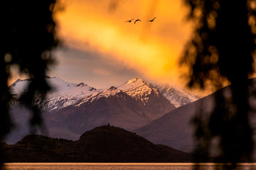 Lake Wanaka