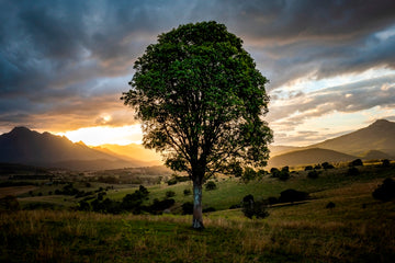 Mount Barney Scenic Rim