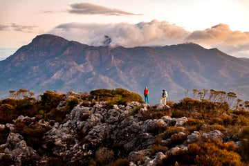 Mount Barney from Mount Maroon