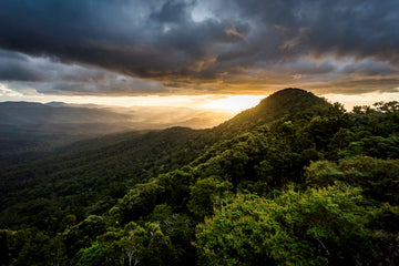 Mount Mitchell Sunset