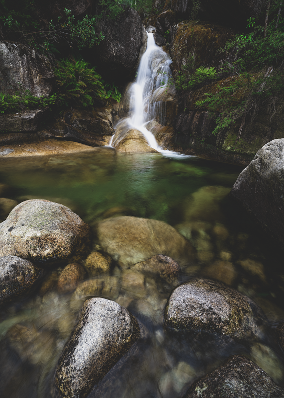 Lady Bath Falls | Mount Buffalo