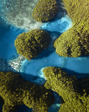 Lagoon Haven