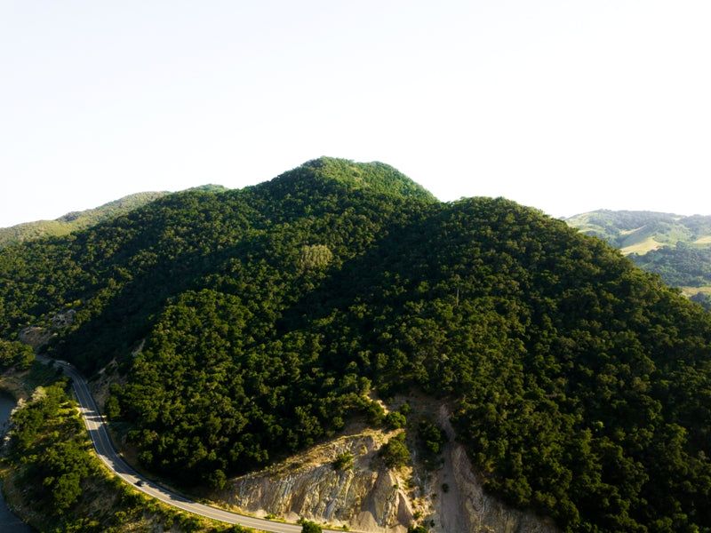 Lake Lopez hills