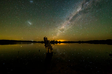 Lake Oberon Stump