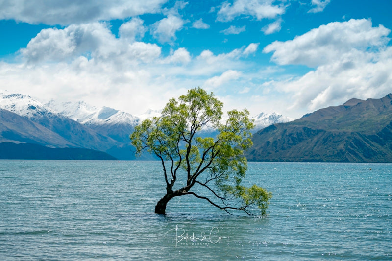 Lake Wanaka NZ