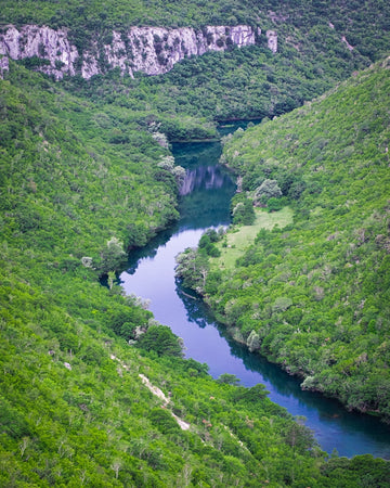 Let the river run