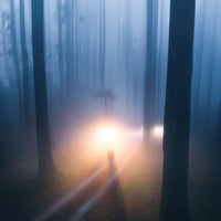 Light up the Dark