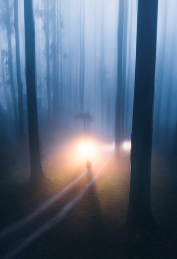 Light up the Dark