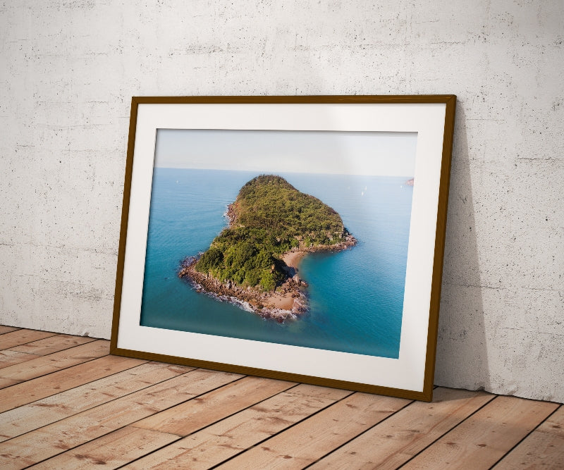 Lion Island Print