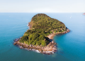 Lion Island Print