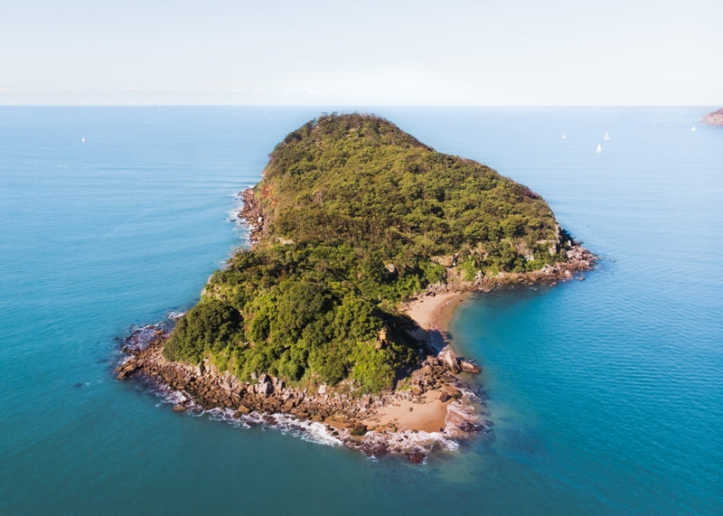 Lion Island Print