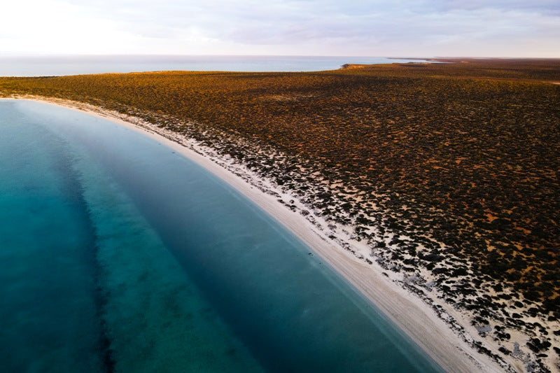 Little Lagoon