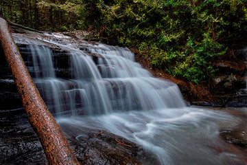 Log Falls