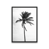 Lone Palm