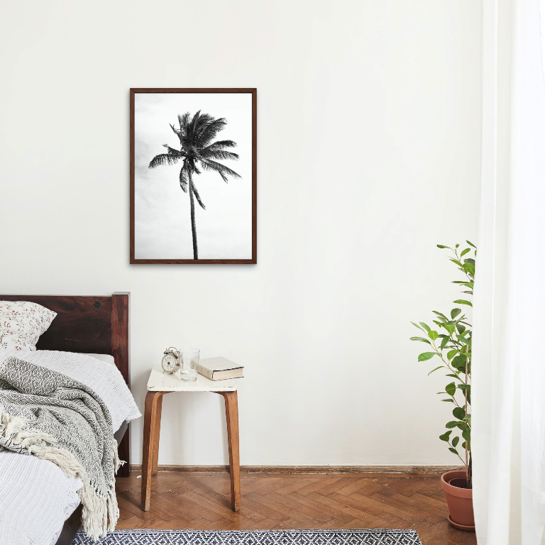 Lone Palm