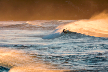 Lonely Surfer