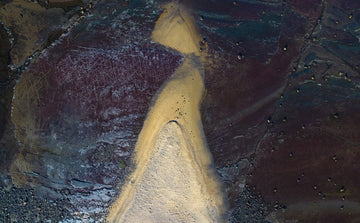 Longreef