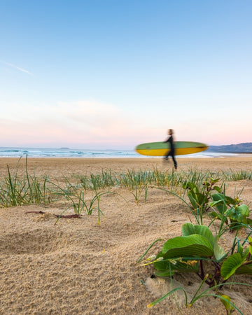 Look at Me Now Dawn Surfer