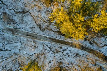 Looking Down
