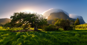 Lord Howe Island Paradise
