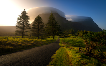 Lord Howe Island road to paradise