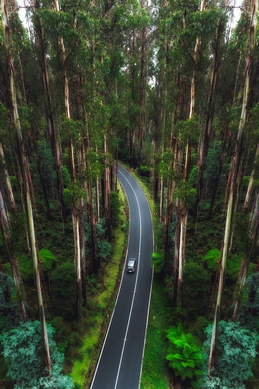 Lost
