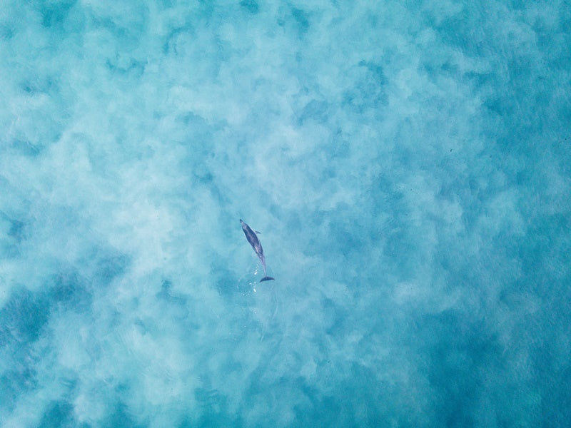 Lost in paradise - Mettams Pool Western Australia