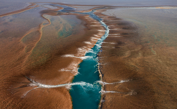 Low Tide Montgomery Reef
