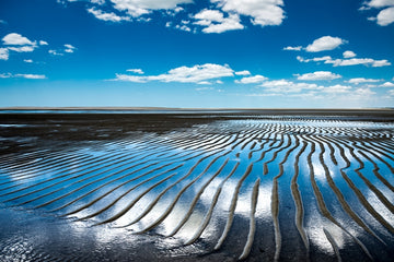 Low Tide in Brazil