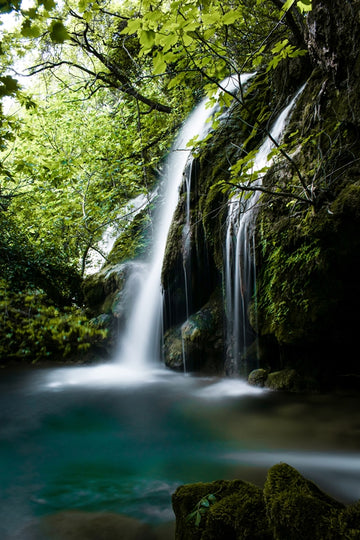 Lush nature