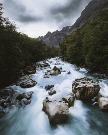 Milford Rush