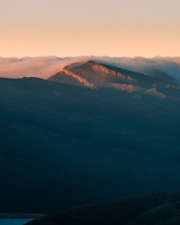 MT William