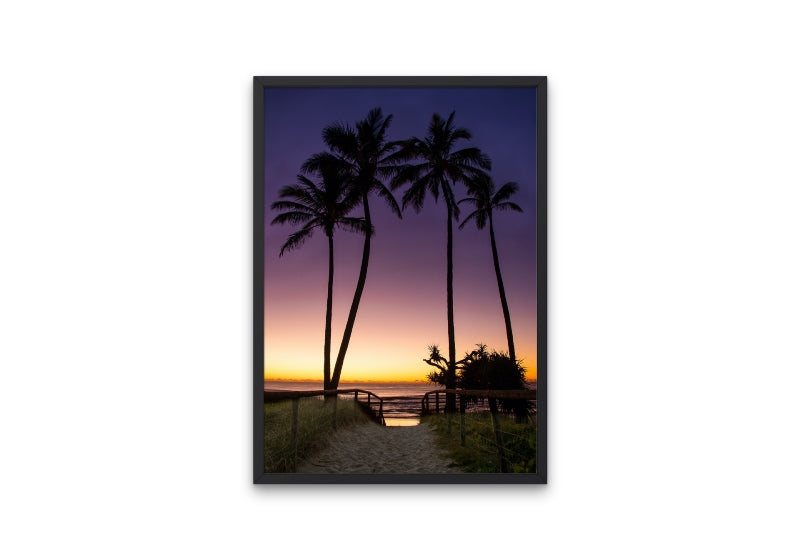 Palms