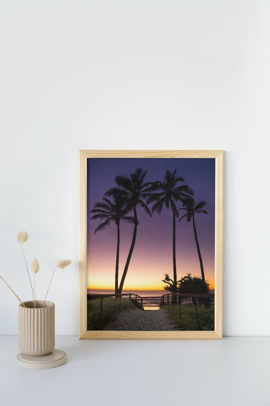 Palms