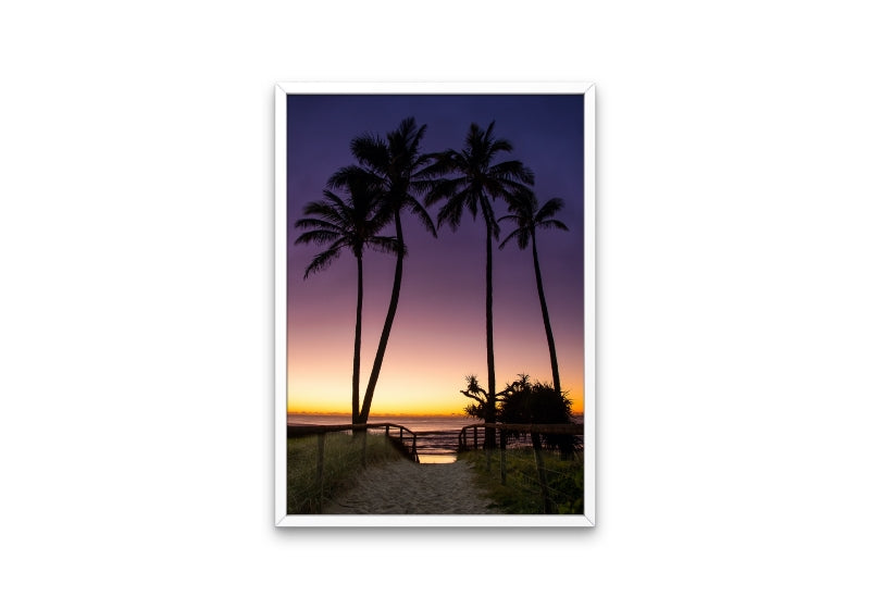 Palms