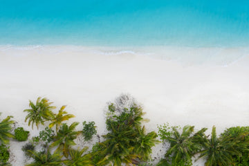 Maldives Dream